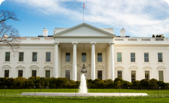 government